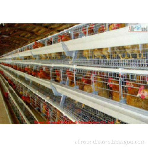 Broiler battery cage